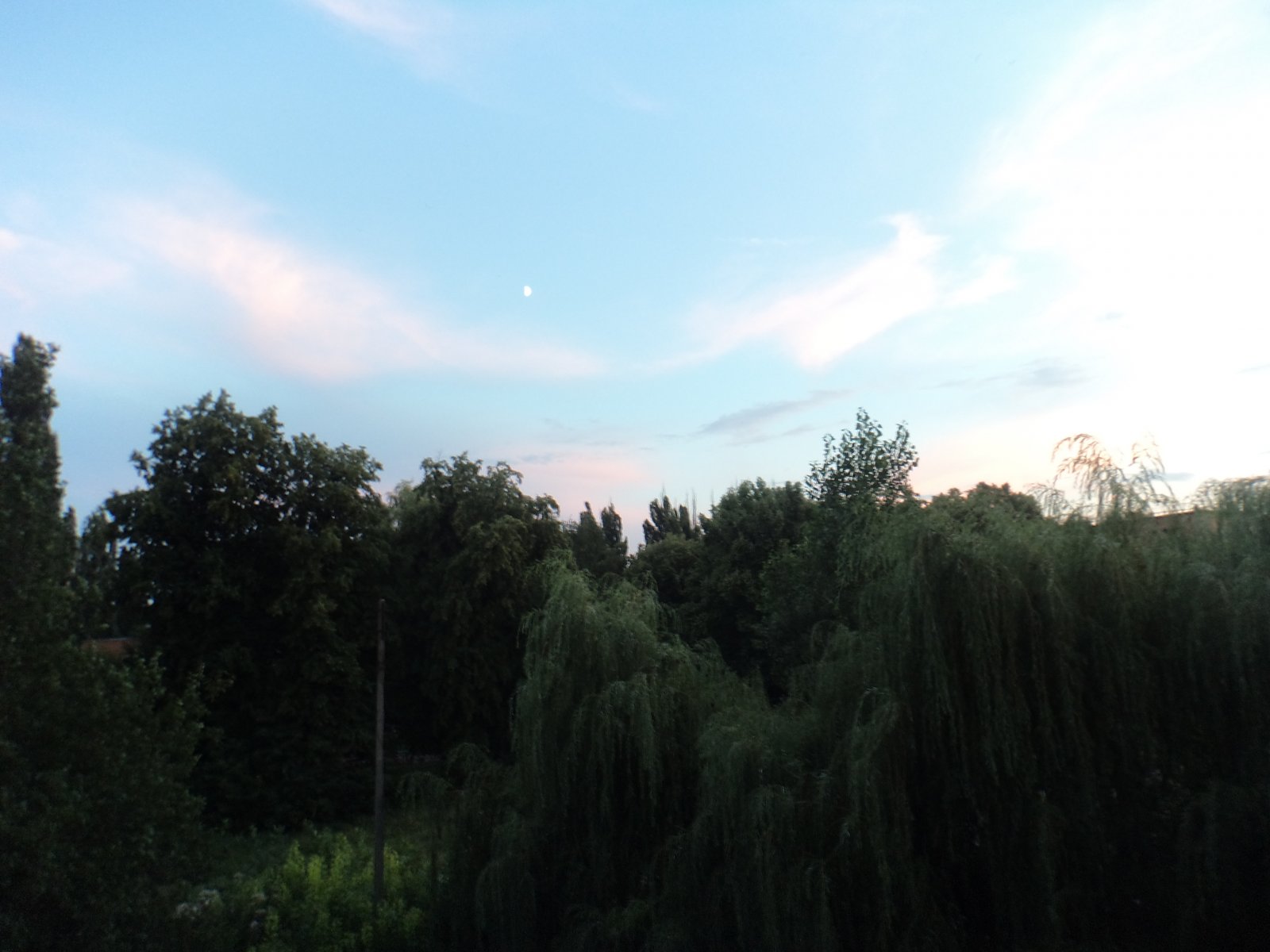 DSC00236.JPG