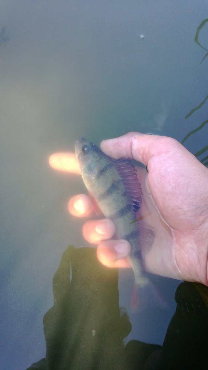 WP_20130818_012.jpg