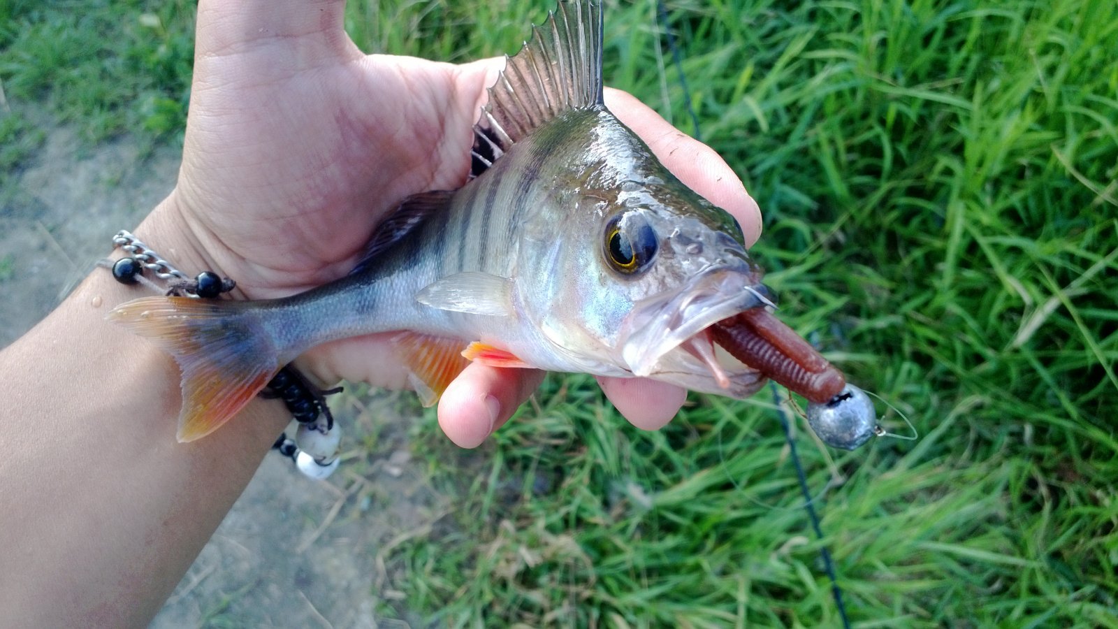 WP_20130818_017.jpg