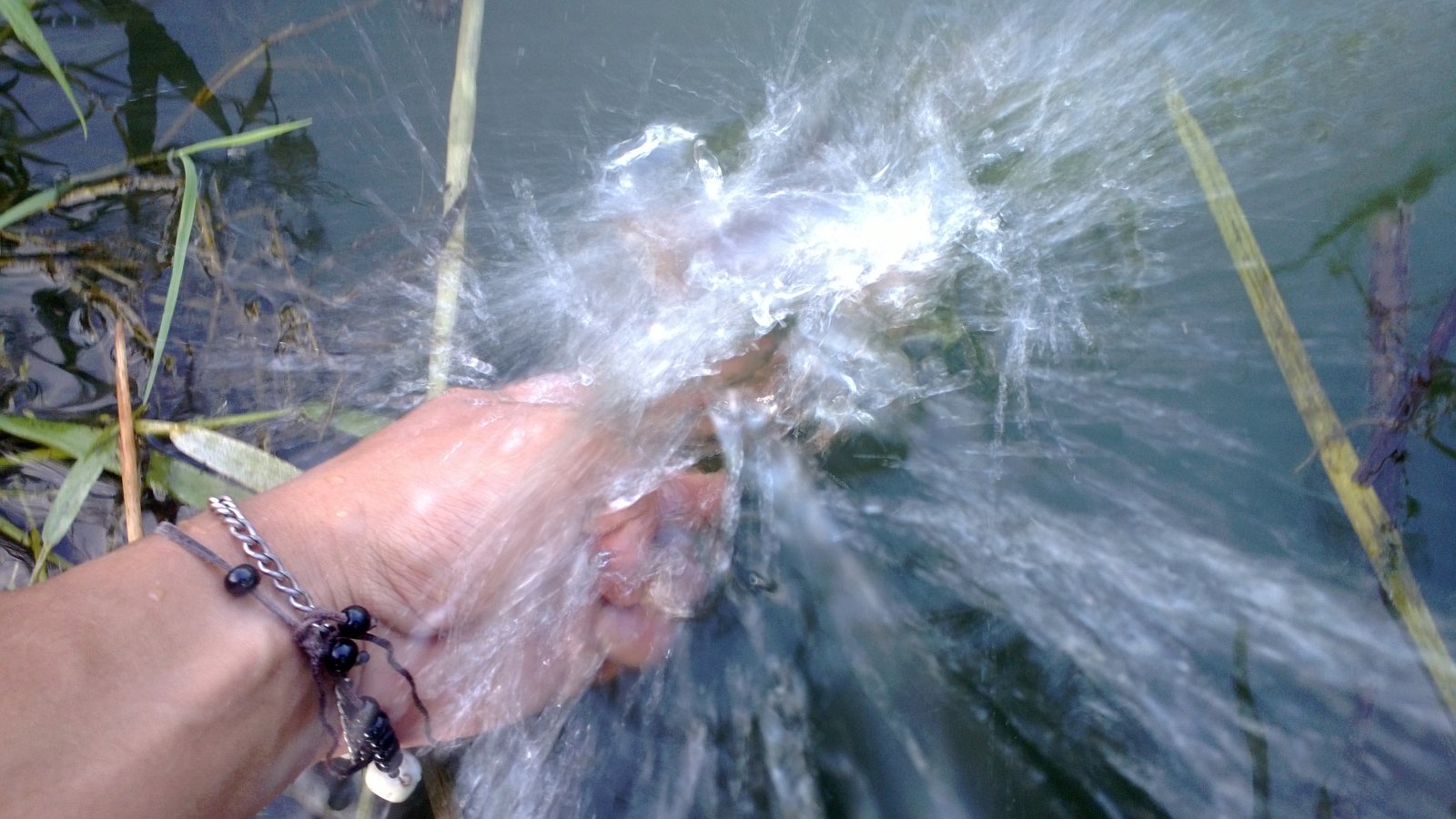 WP_20130818_018.jpg
