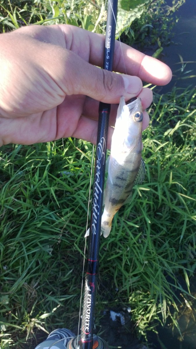 WP_20130820_009.jpg