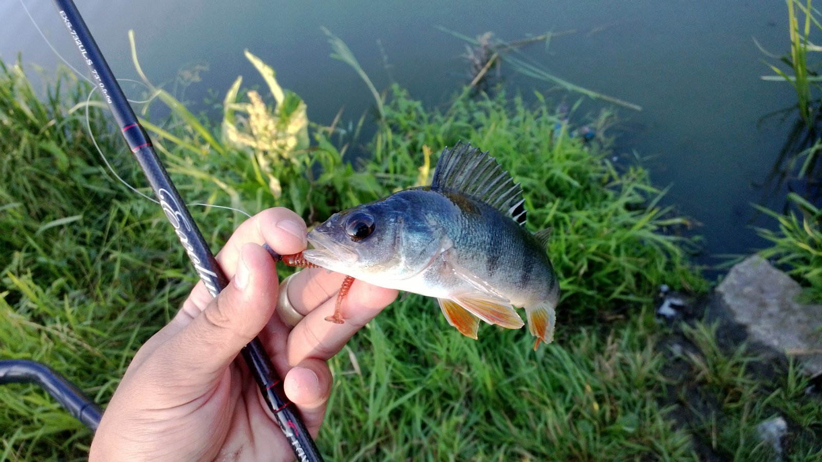 WP_20130820_014.jpg