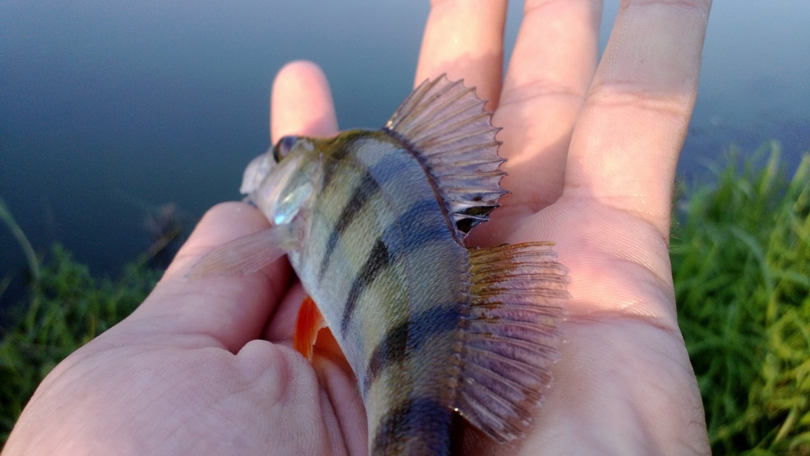 WP_20130820_016.jpg