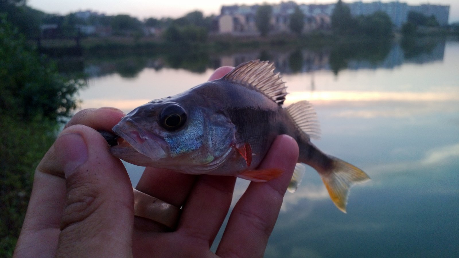 WP_20130822_003.jpg