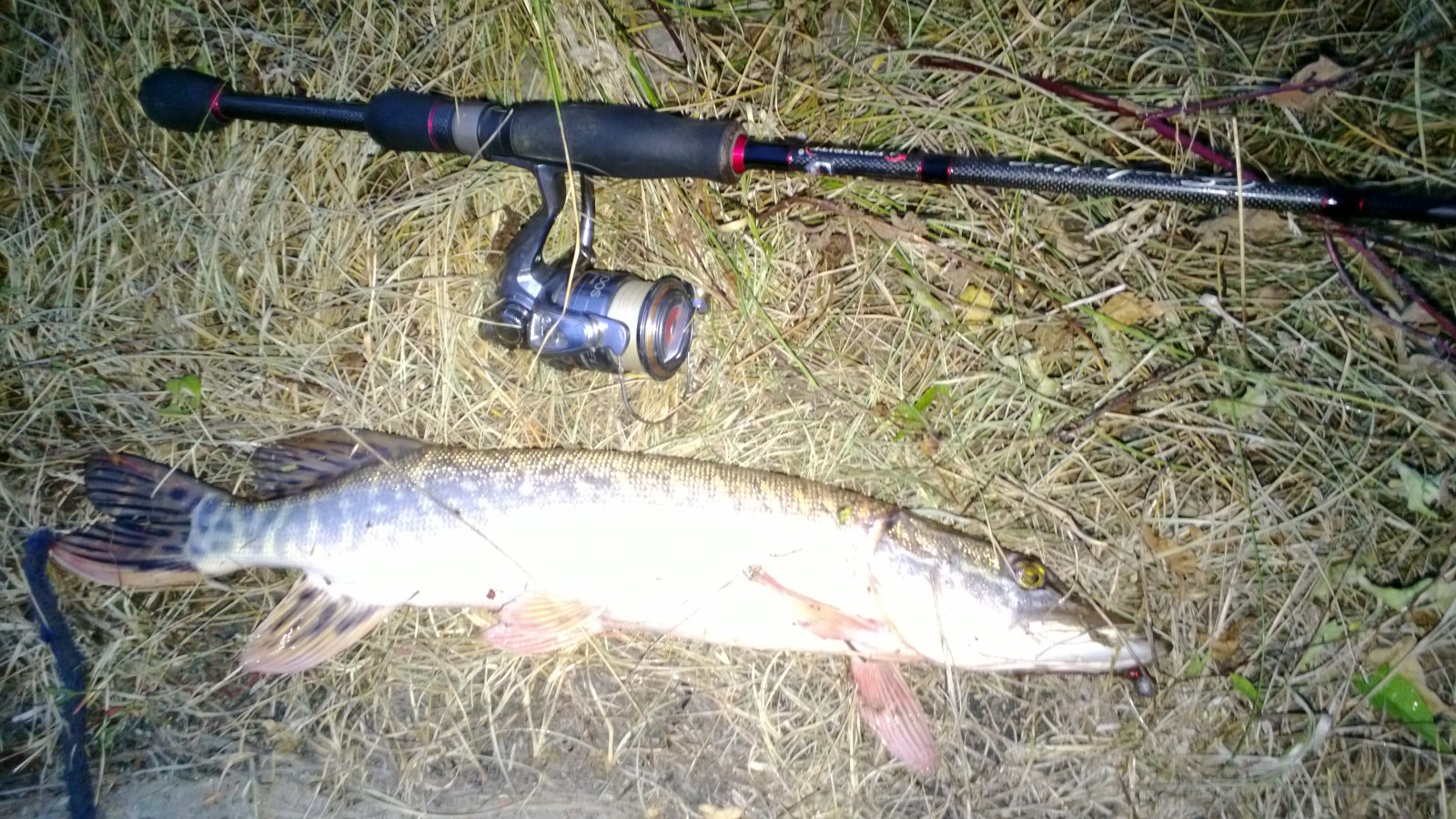 WP_20130822_010.jpg