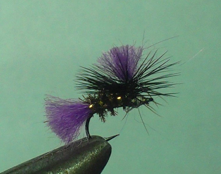 IMAG0009.jpg