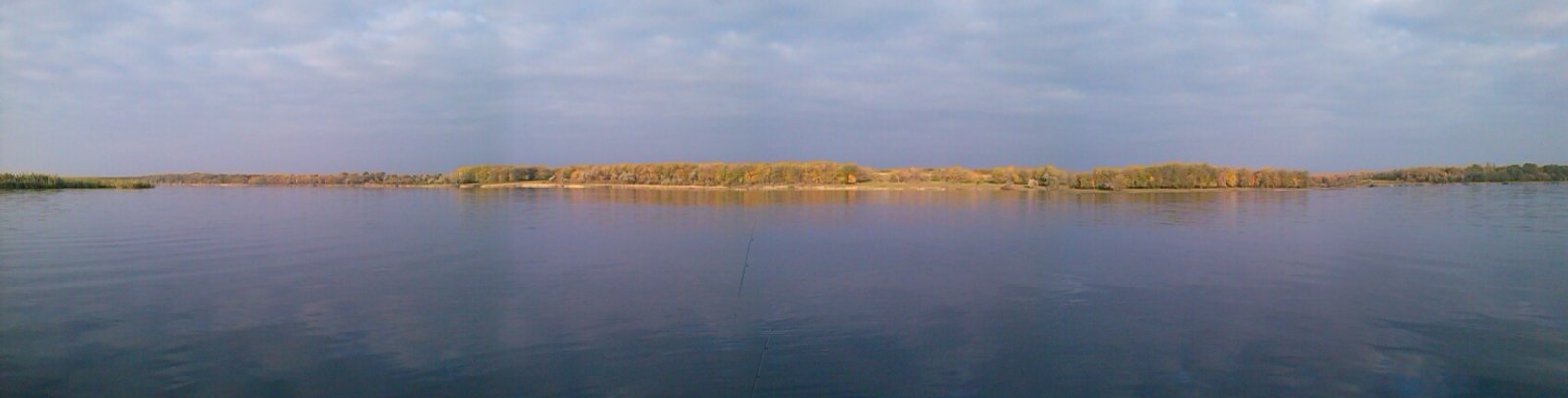 CAM00695.jpg