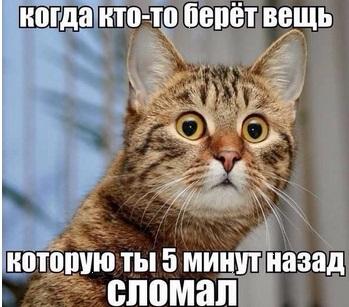 8DpTKaSGC0E.jpg