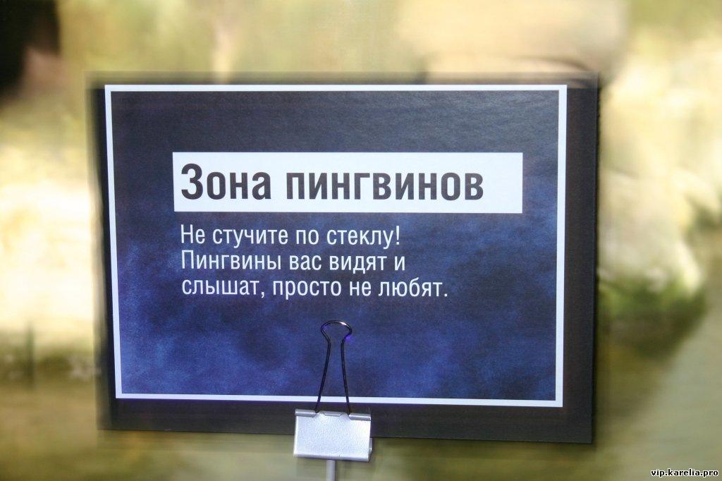 e557cf2900ee3d1808f518c3a0759287.jpg
