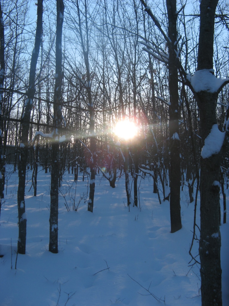 IMG_0066.JPG