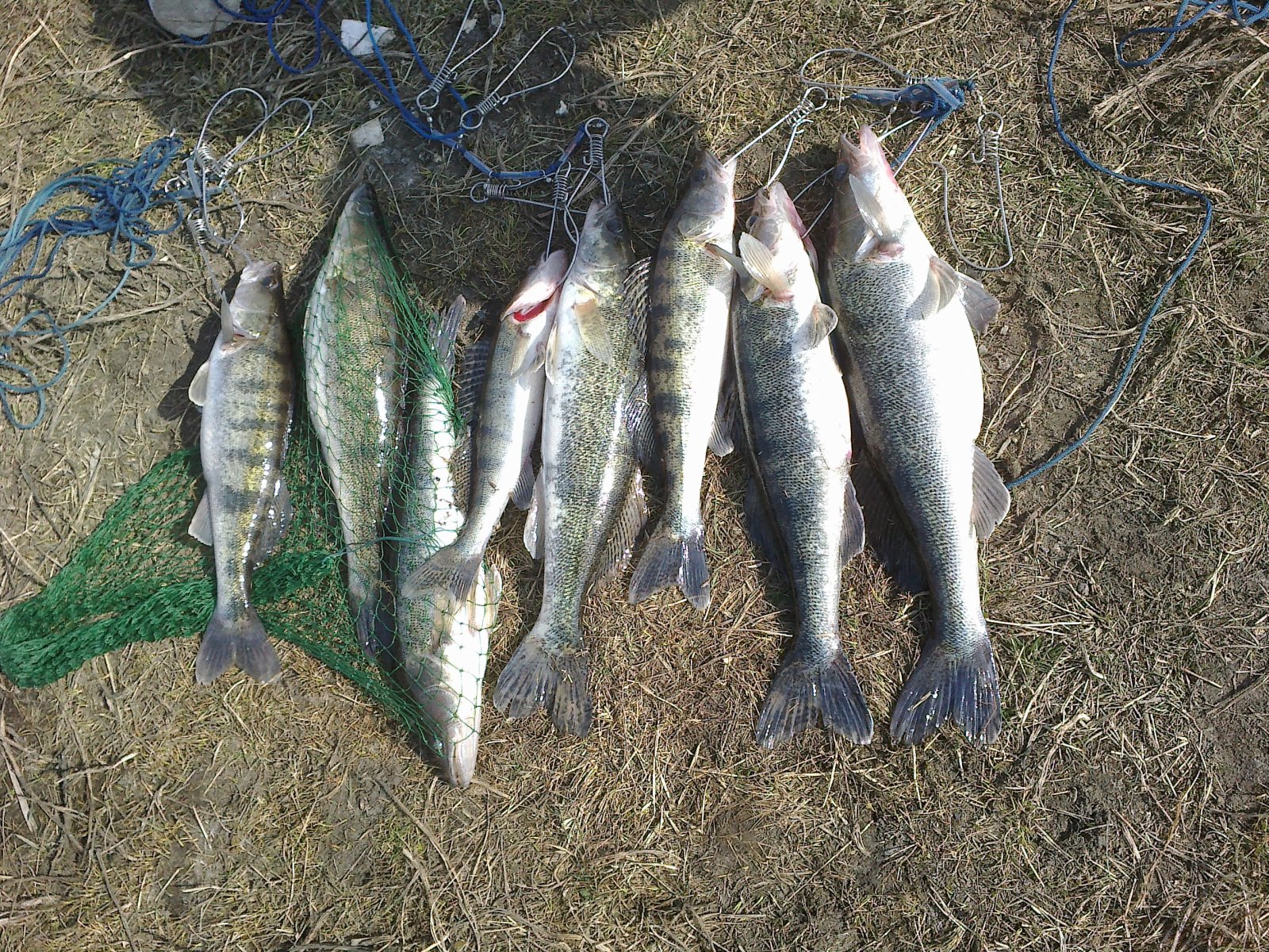 15032014246.jpg