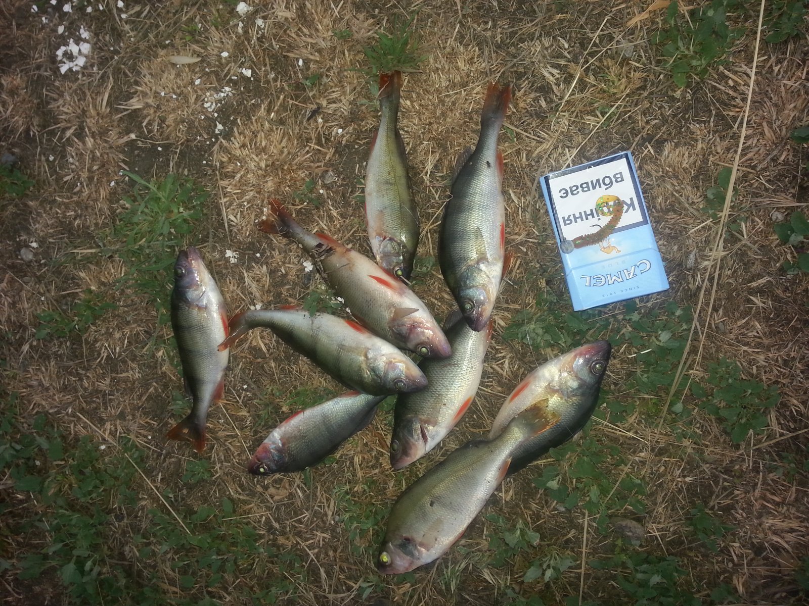 20140530_193041.jpg