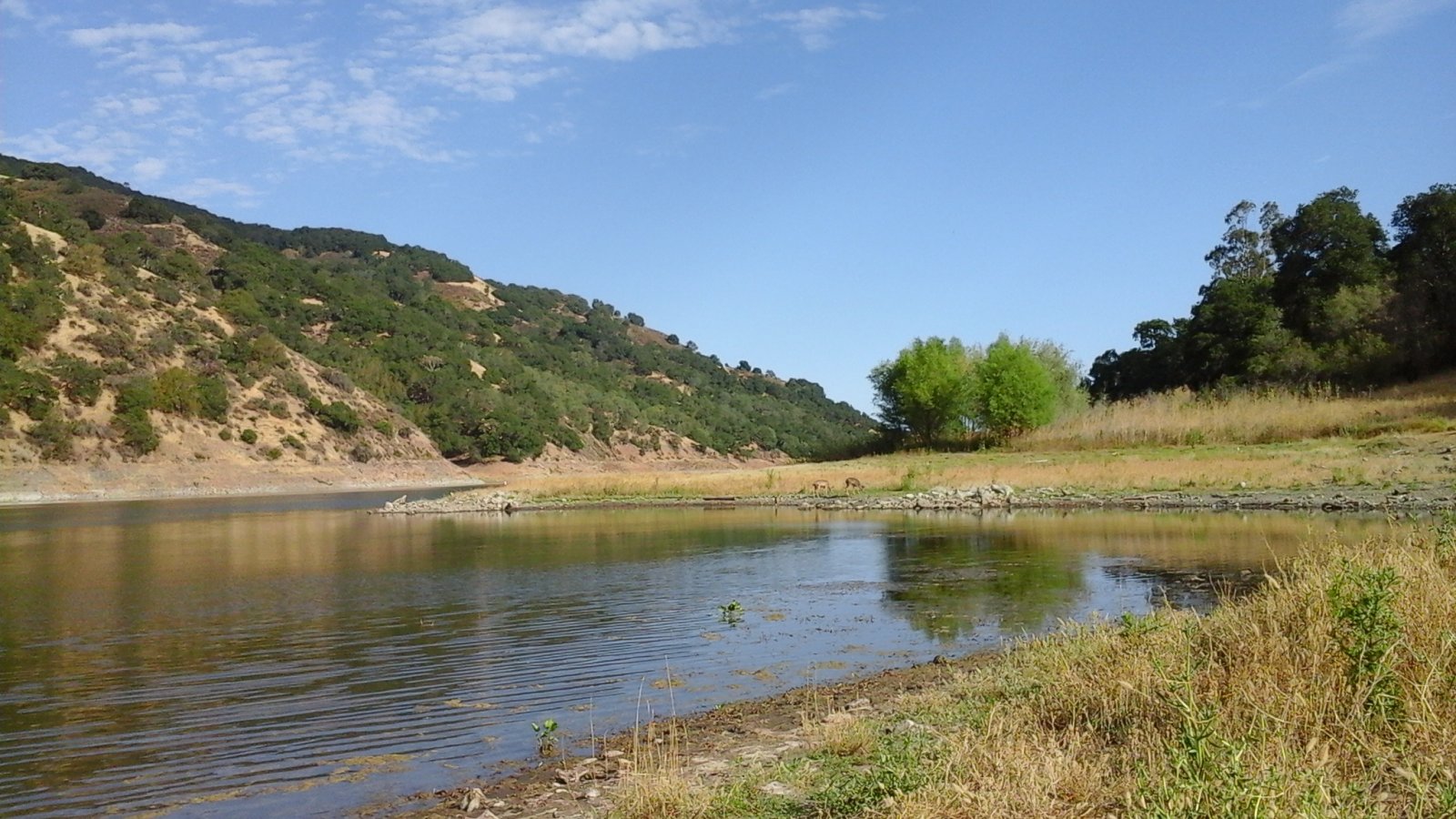 20140707_174444.jpg