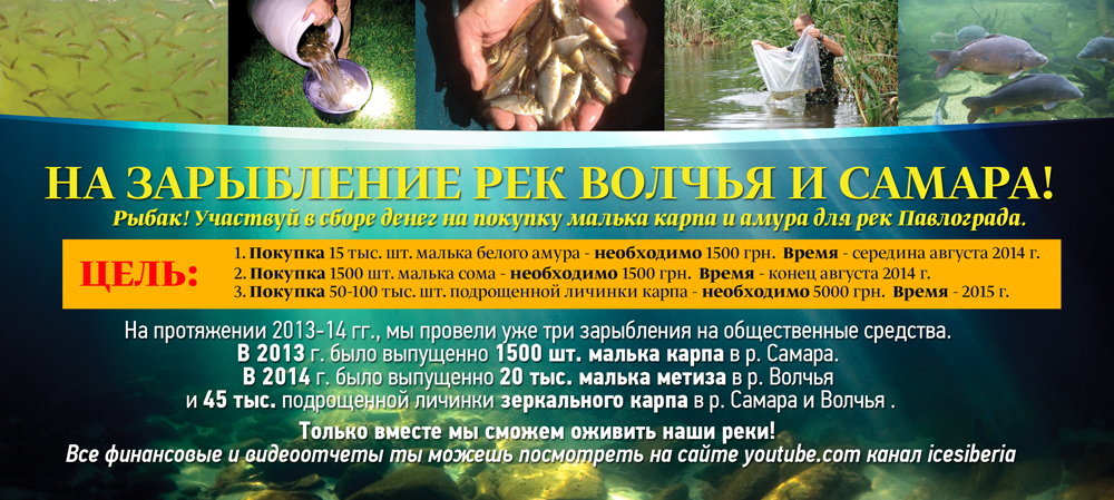 Зарыбление.jpg