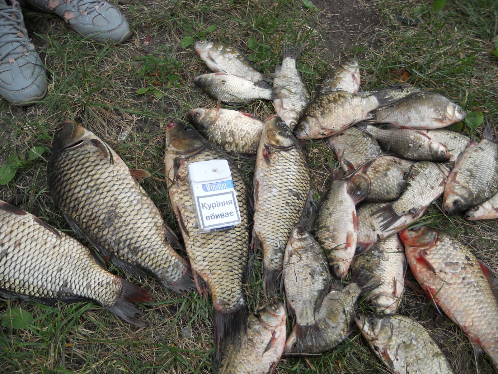 DSCN6761.JPG
