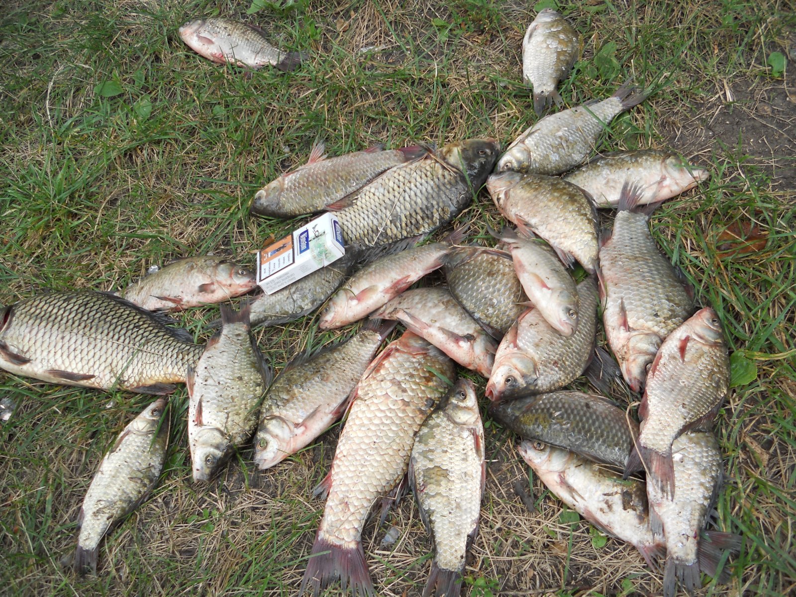 DSCN6767.JPG
