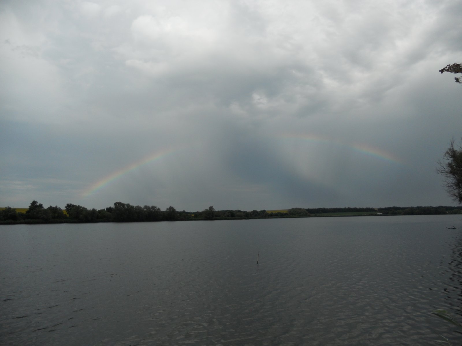 DSCN6770.JPG