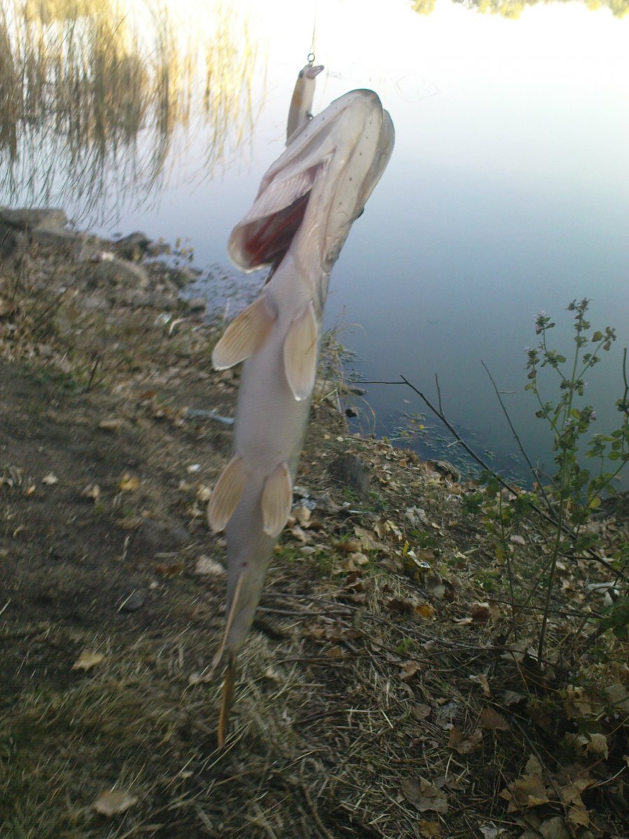 DSC09312.JPG