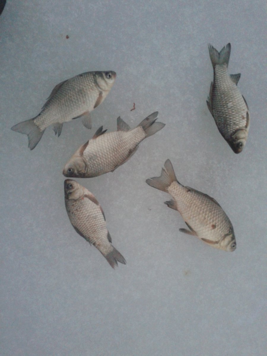 20150127_163919.jpg