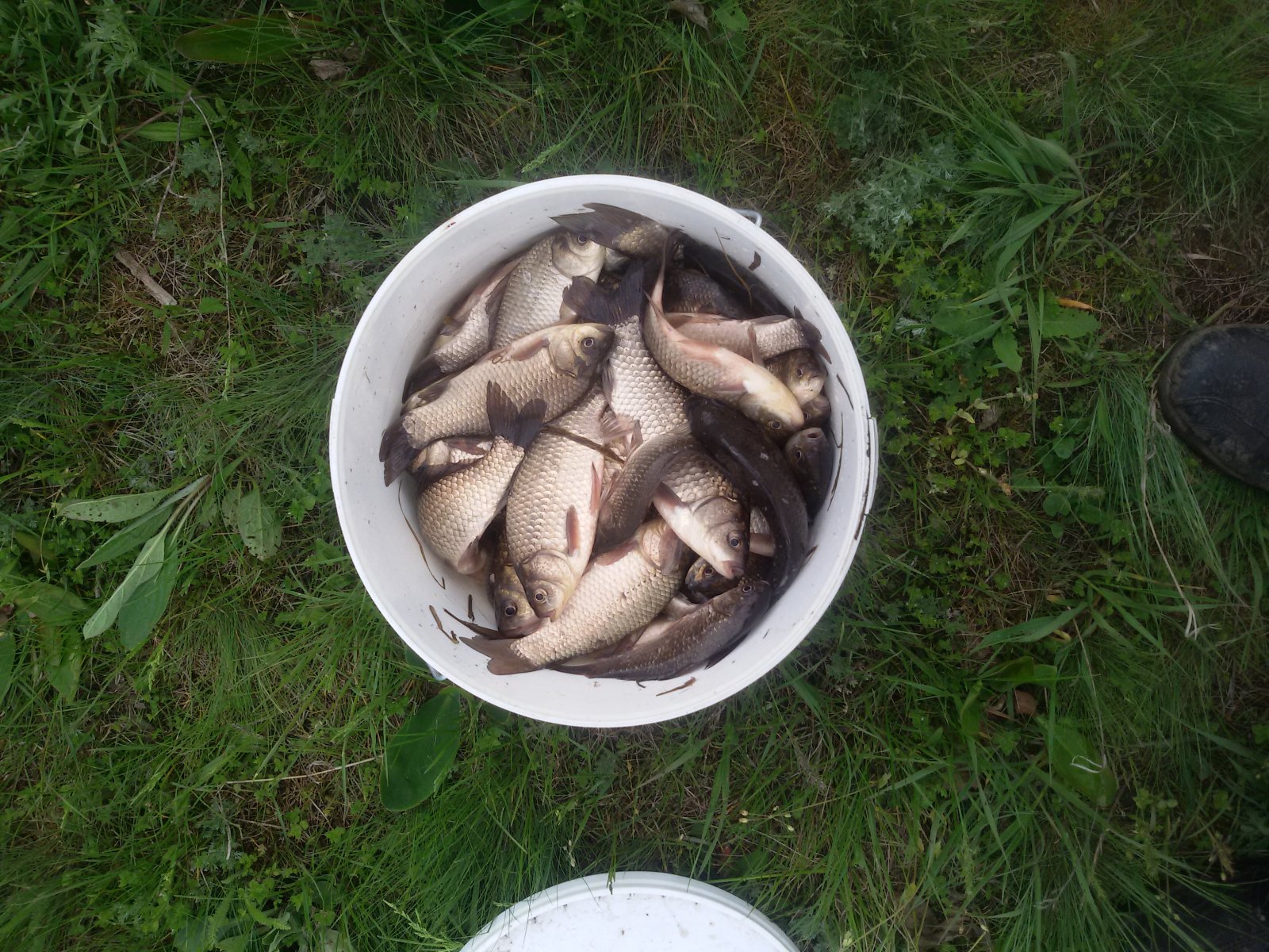 20150501_173259.jpg