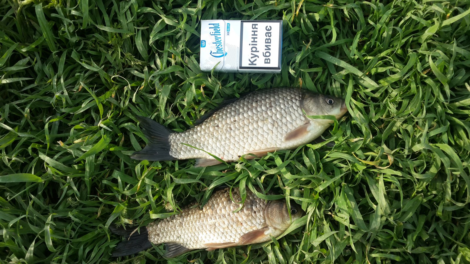 20150510_182448.jpg