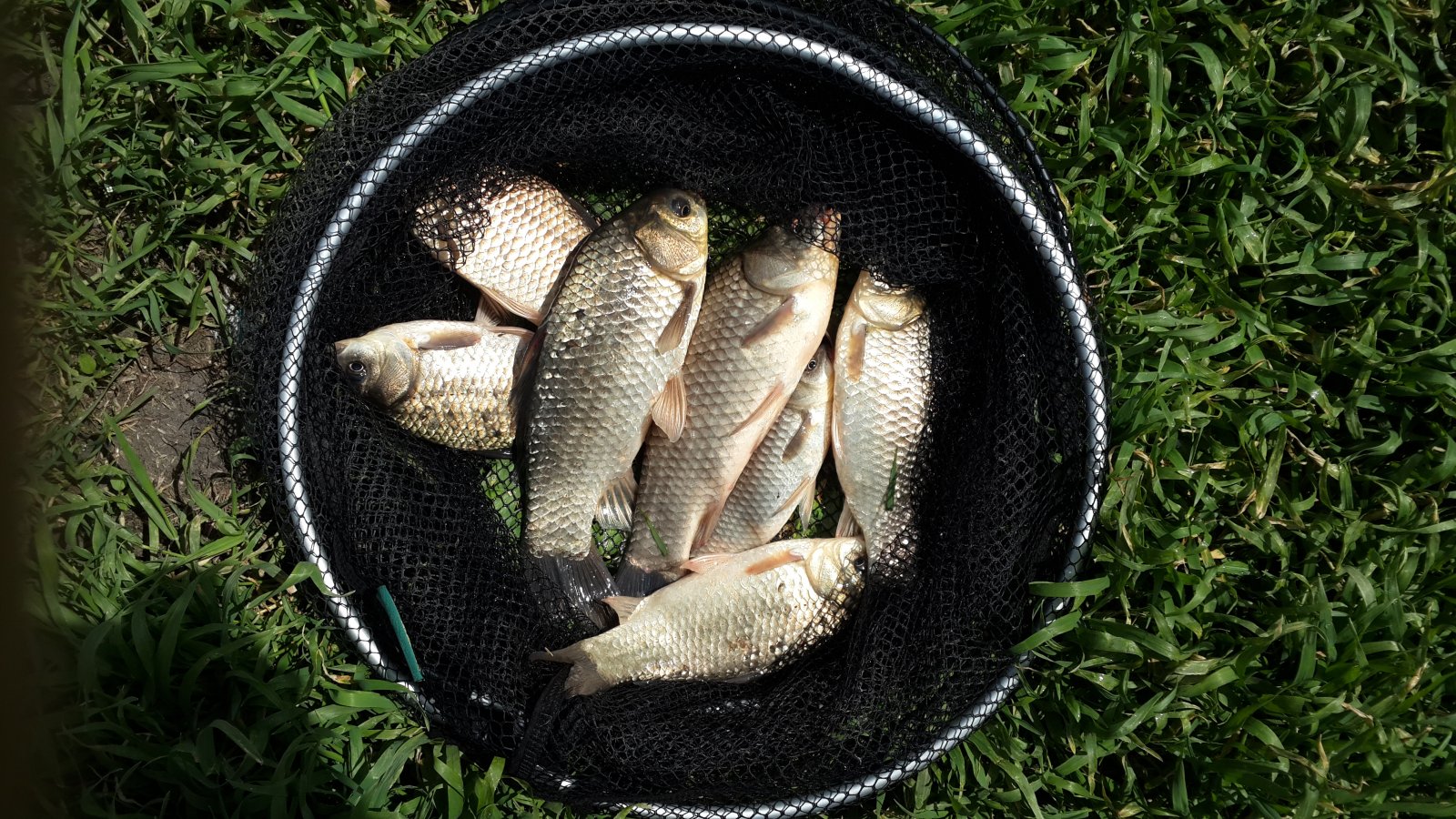 20150517_112857.jpg