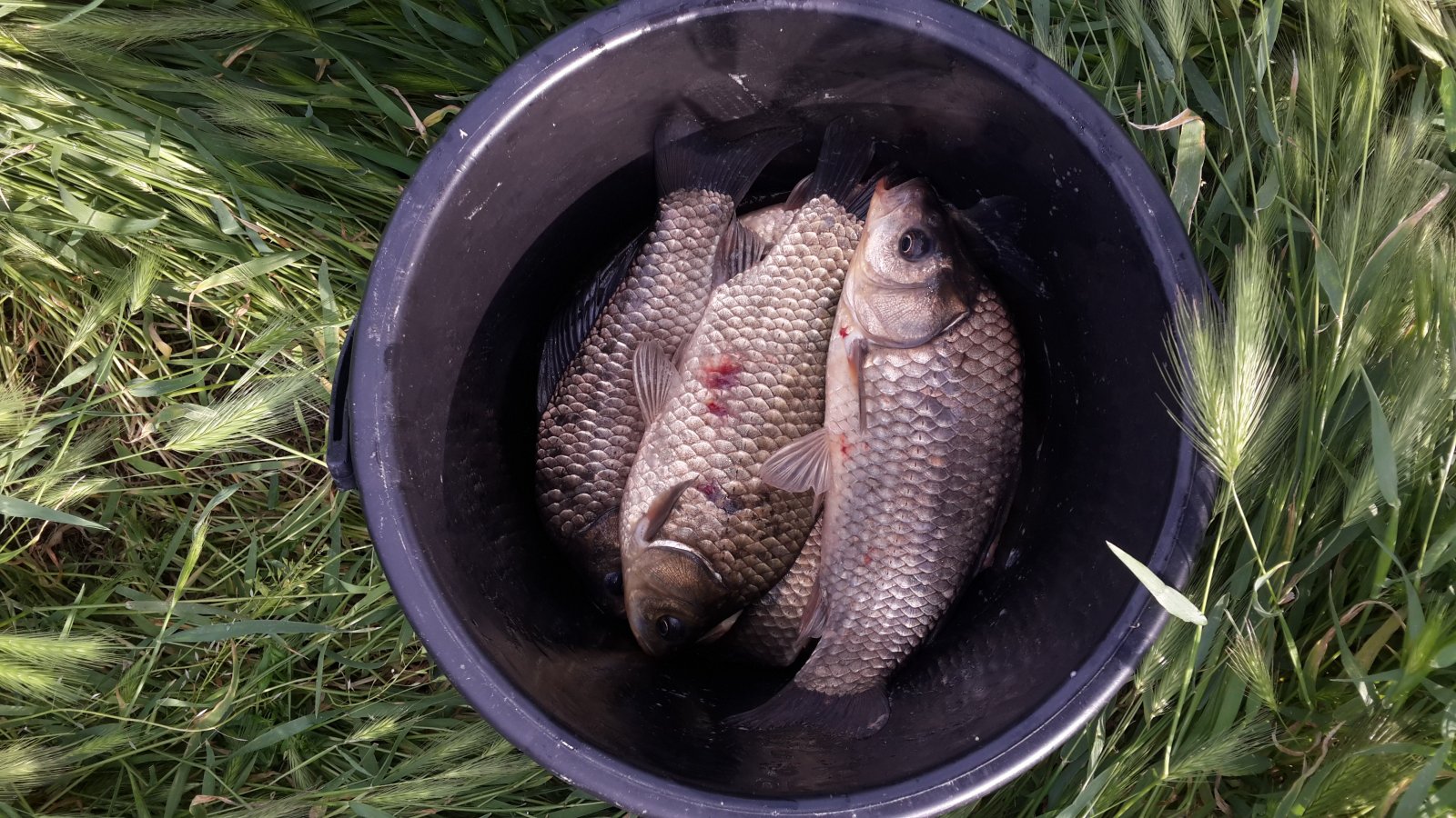 20150530_180616.jpg
