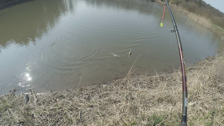 vlcsnap-2019-04-06-15h13m21s254 (Копировать).png