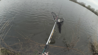 vlcsnap-2019-04-14-11h22m50s239 (Копировать).png