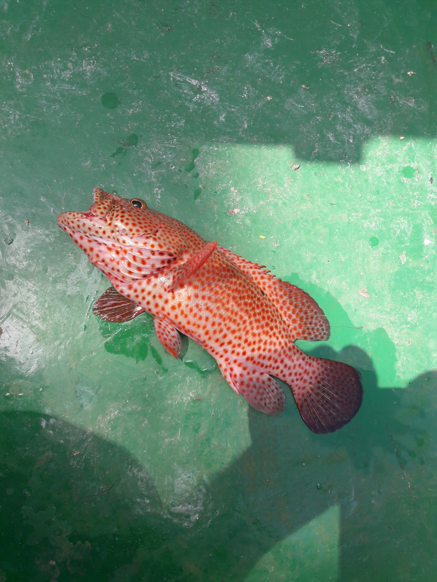 20190326_142121.jpg
