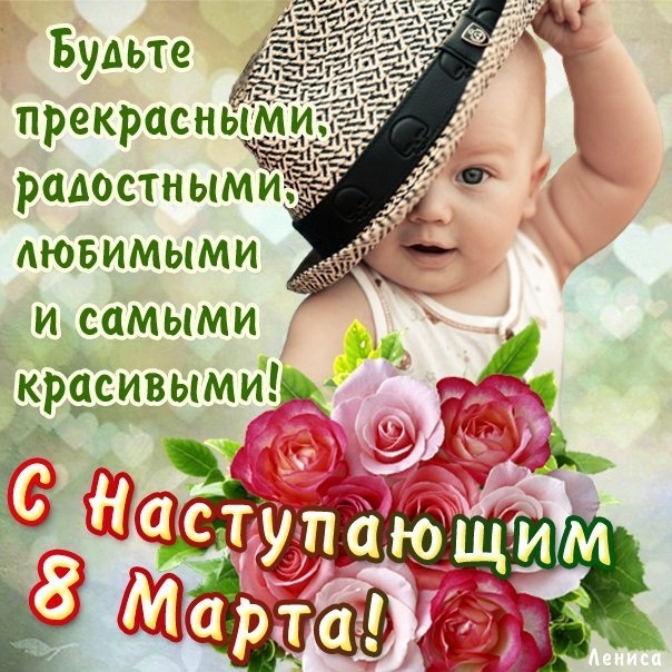 24481675.jpg