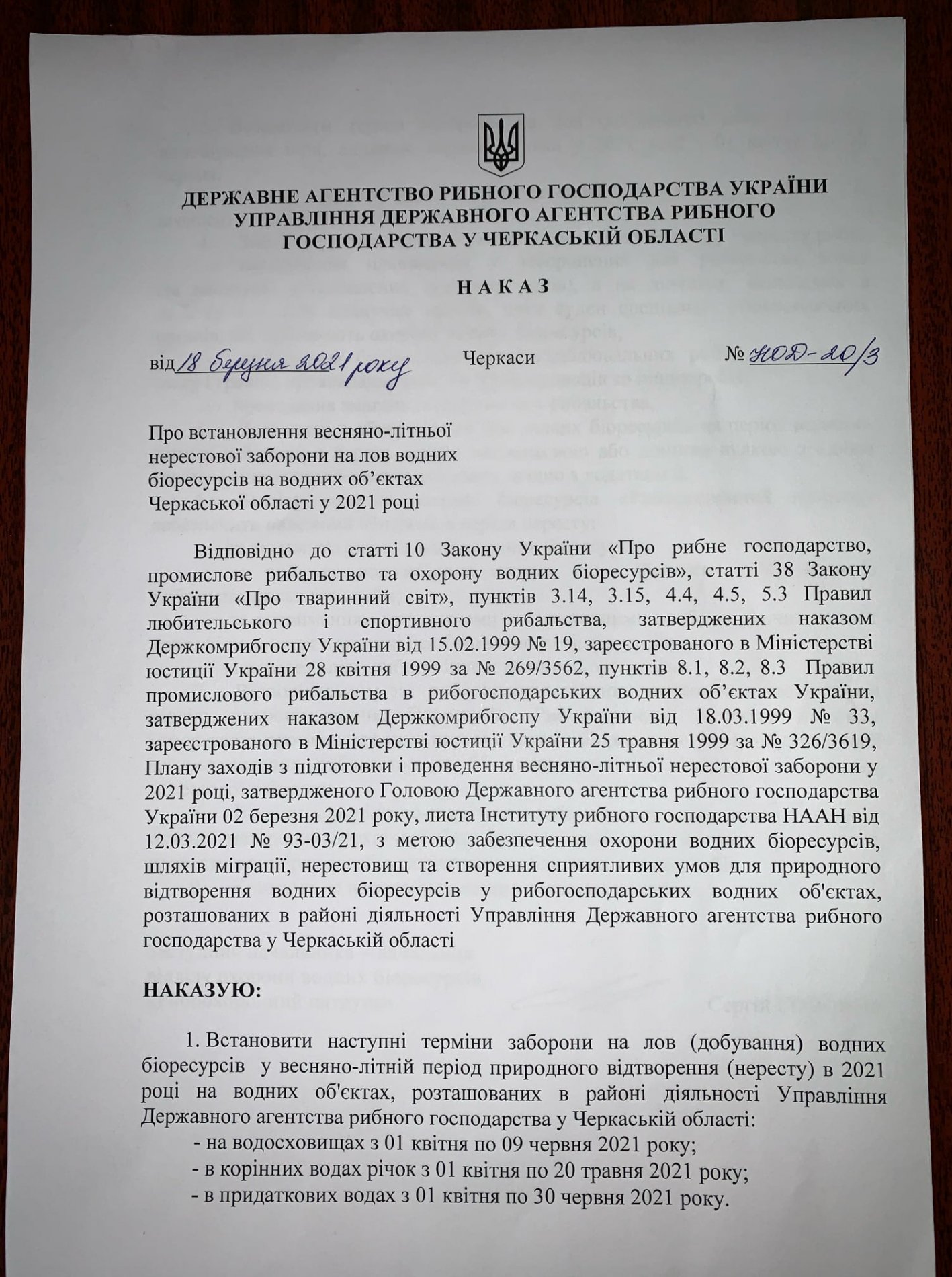 Н1.jpg