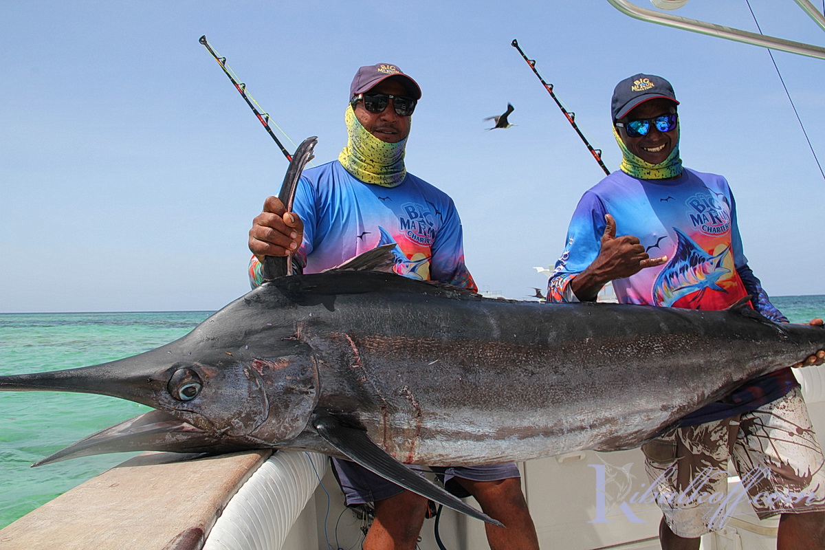 yura-ribalkoff-marlin-puj16.JPG