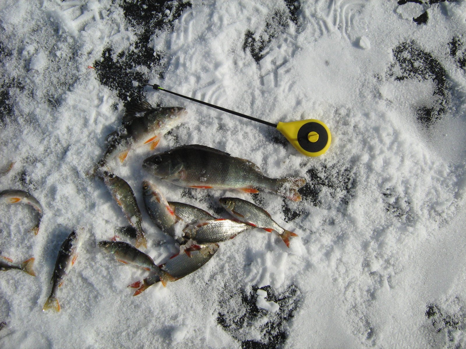IMG_1369.JPG