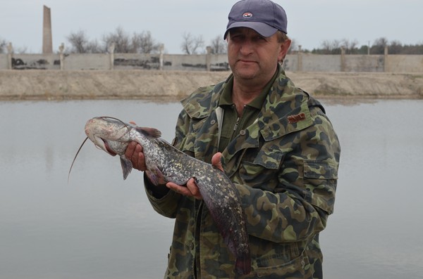 DSC_0369 (Копировать).JPG