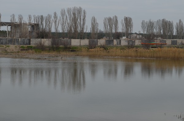 DSC_0379 (Копировать).JPG