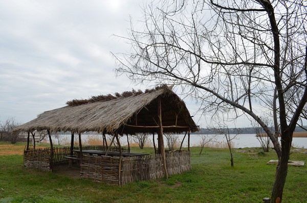 DSC_0500 (Копировать).JPG