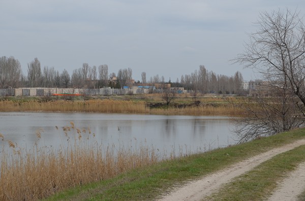 DSC_0441 (Копировать).JPG