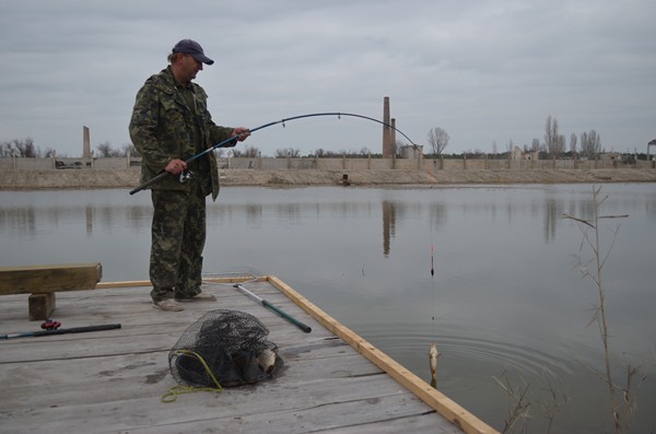 DSC_0335 (Копировать).JPG
