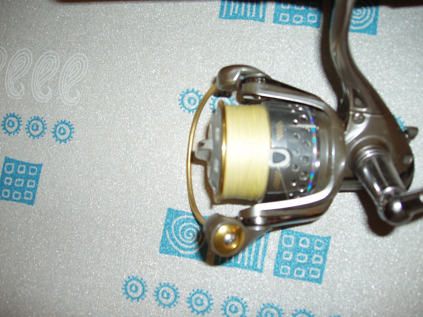 P1010020.JPG