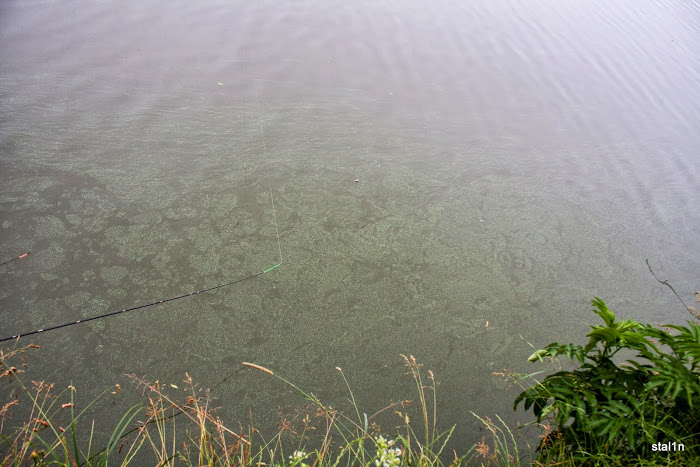 20130626_Fishing_Mizoch_015[1].jpg