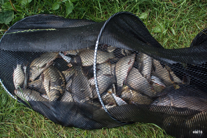 20130626_Fishing_Mizoch_035[1].jpg