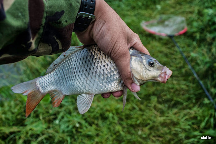 20130626_Fishing_Mizoch_016[1].jpg
