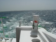 DSCN2103.jpg