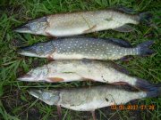 DSCN5949.JPG