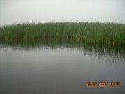 DSCN5969.JPG
