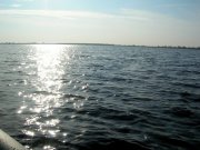 DSCN5961.jpg