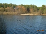 DSCN2480.JPG