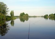 DSCN6542.JPG