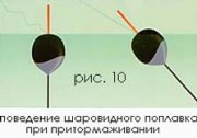 11346.jpg